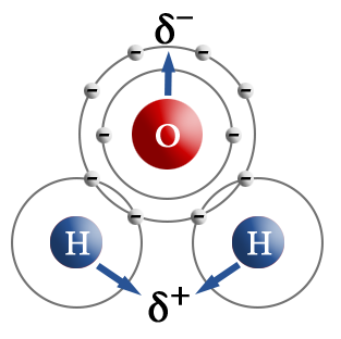 Полярное представление молекулы воды