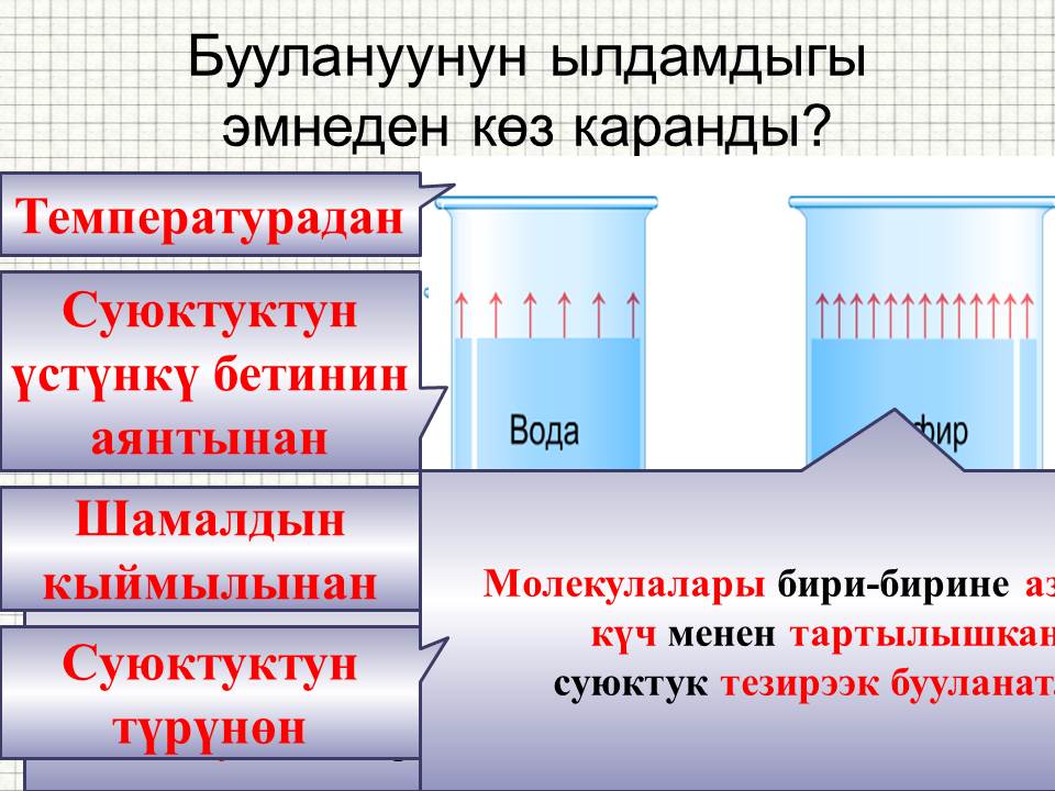 Слайд5 кыргбуу.JPG