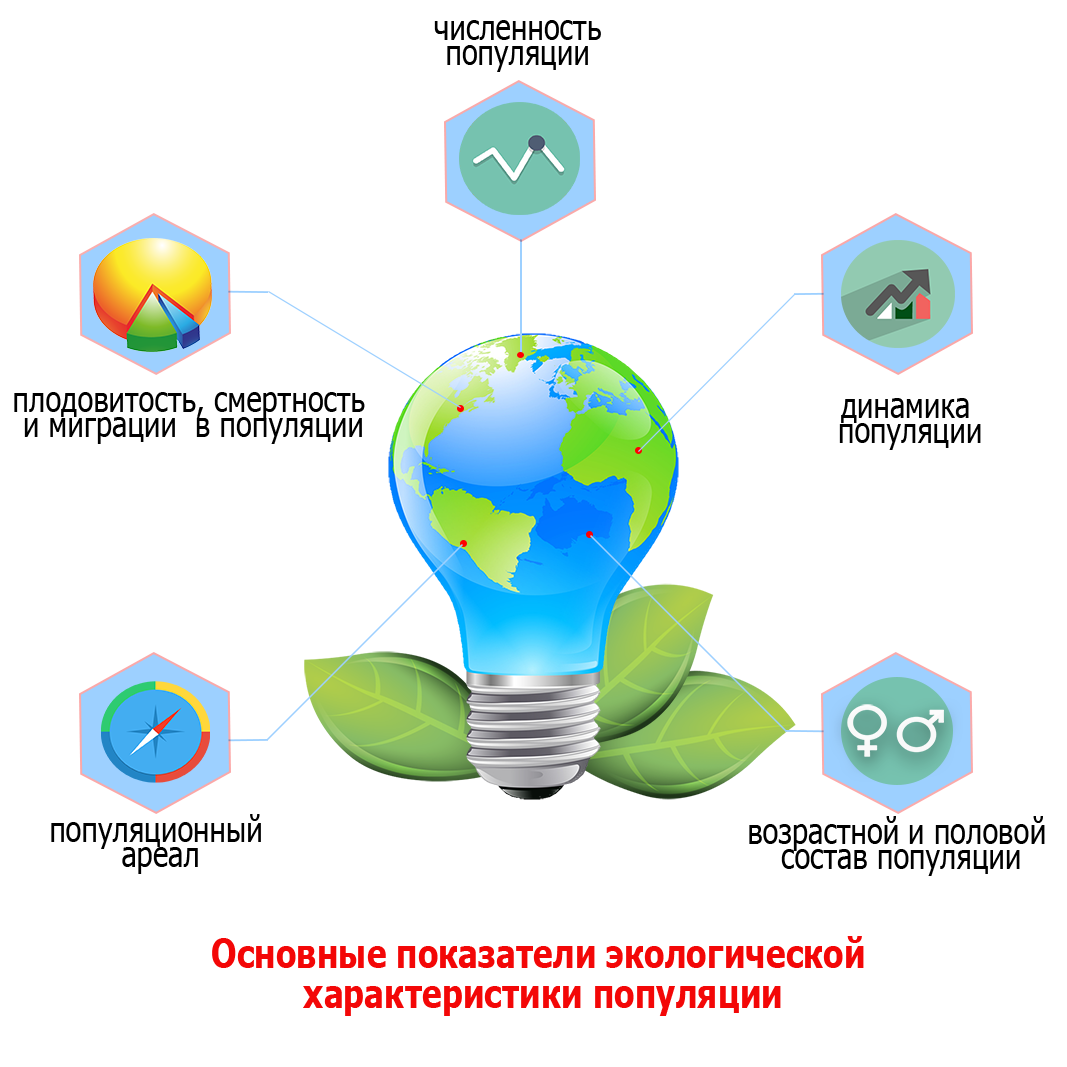 Основные показатели экологической характеристики популяции