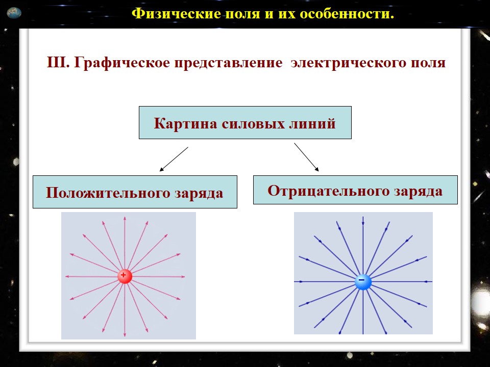 Слайд8поле.JPG