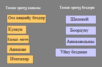 Тамак эритүү каналы  жана тамак эритүү бездери