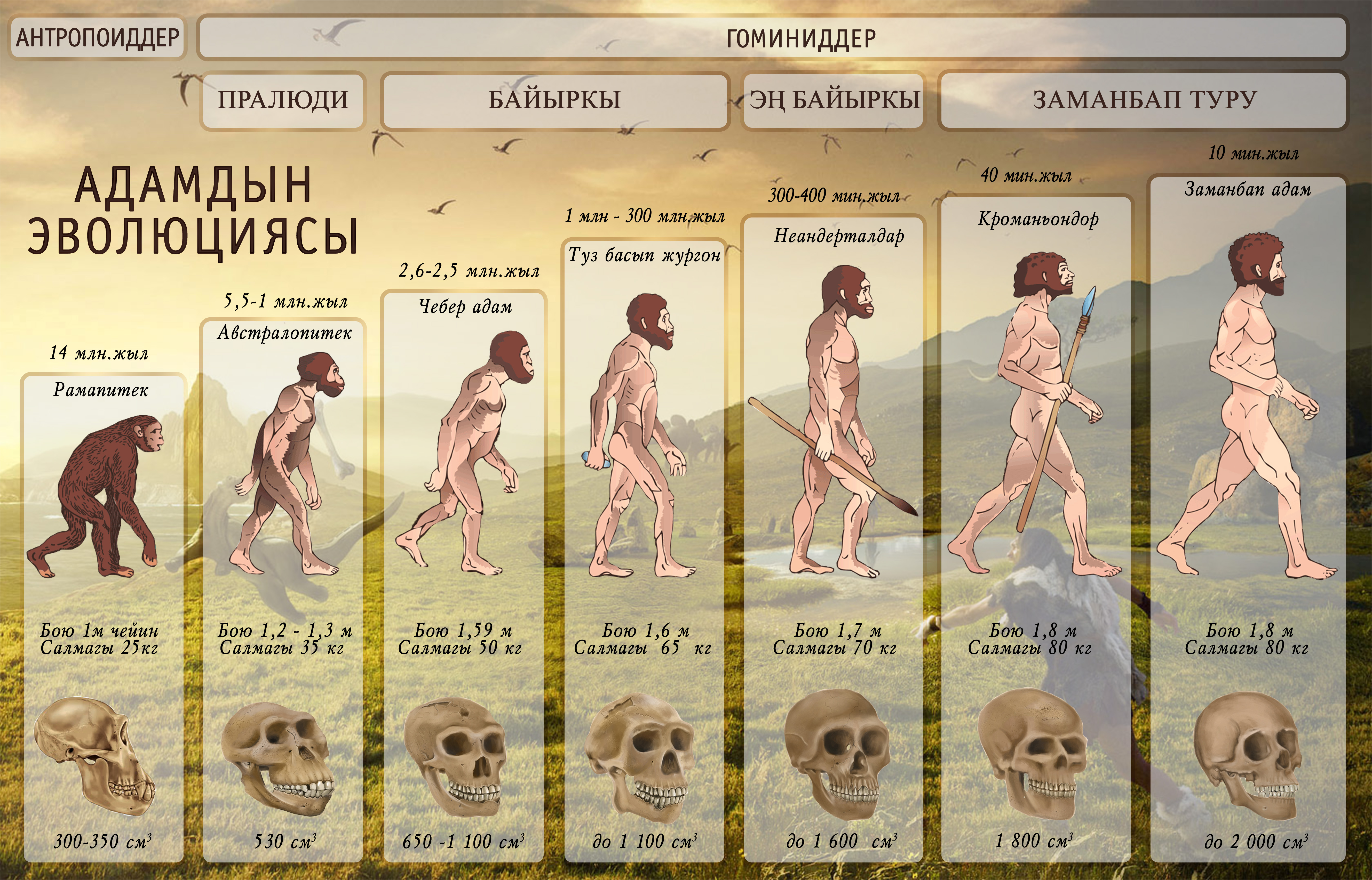 Адамдын эволюциясы