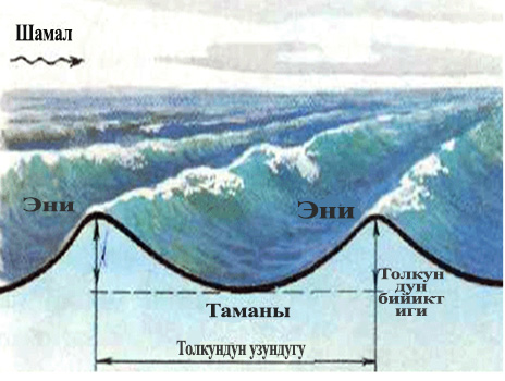 Толкундун бөлүктөрү