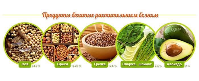 Продукты белки.jpg