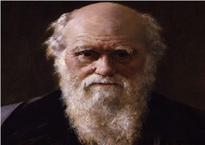 Дарвиндин теориясынын эвоюциясы.