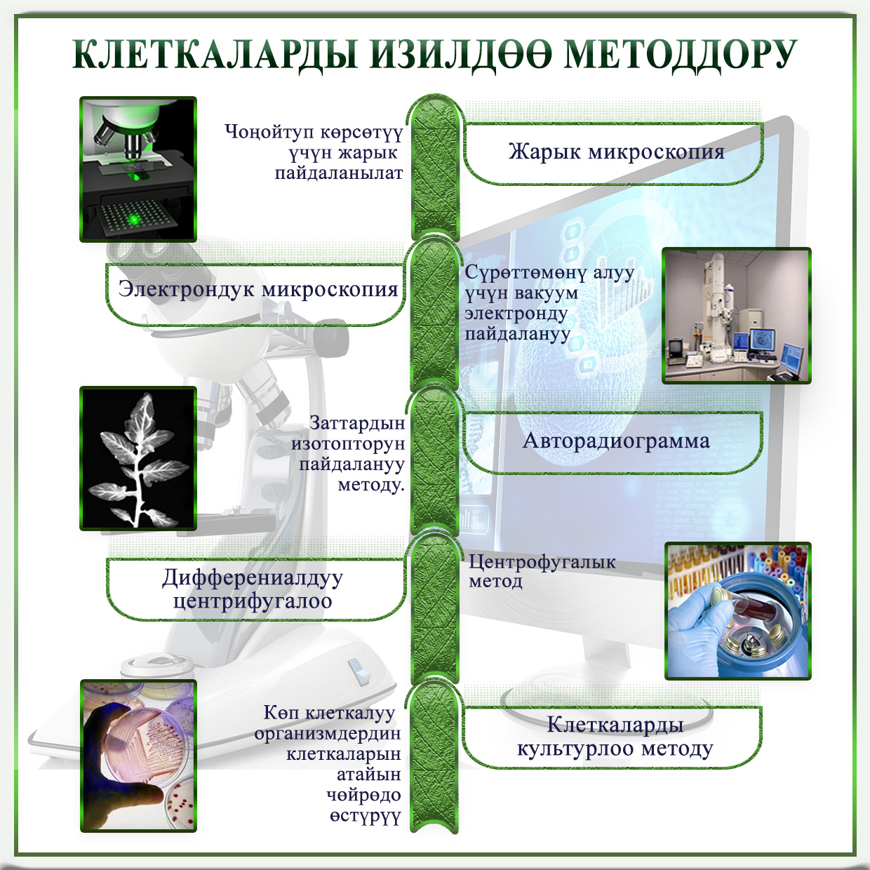 клетканы изилдөө методдору