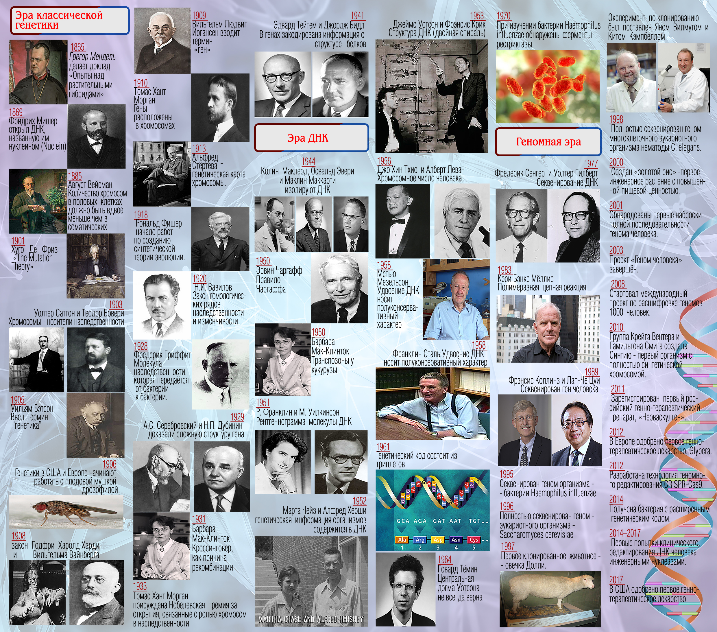 Основные вехи в истории генетики 1865-2017
