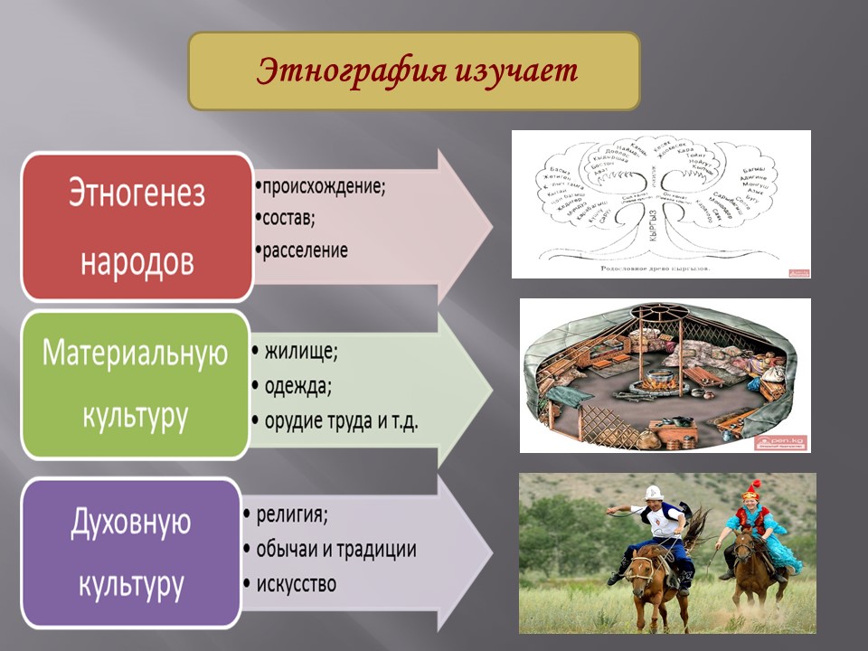 Антропология этнография