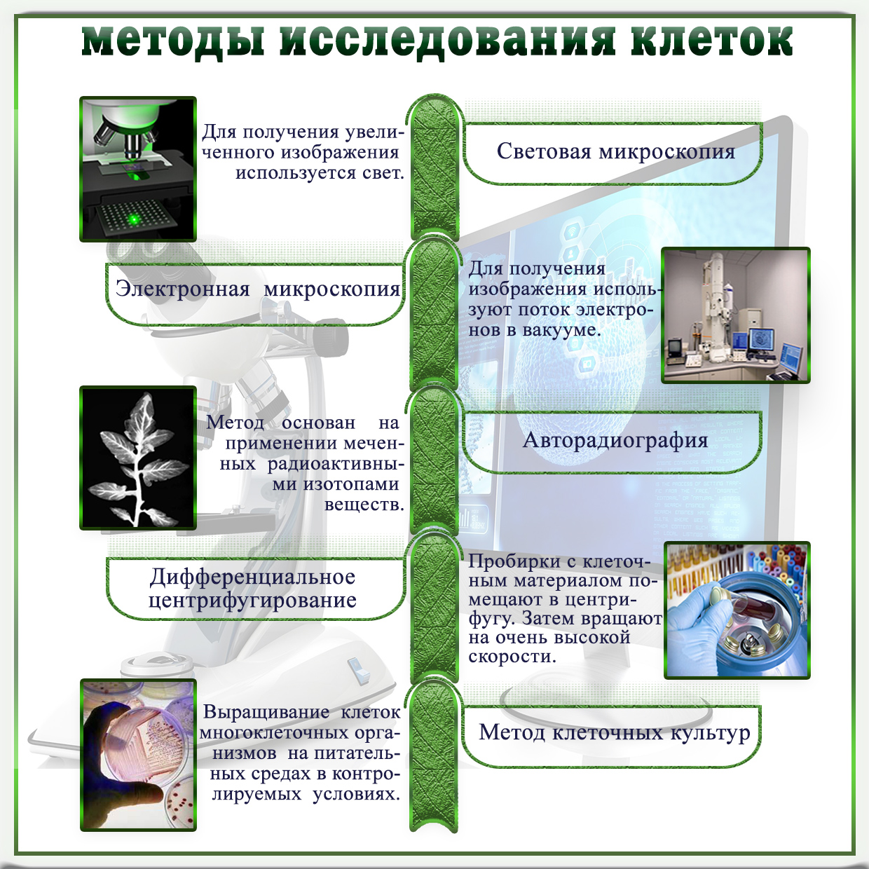 Методы изучения жизнедеятельности клетки 5 класс план сообщения