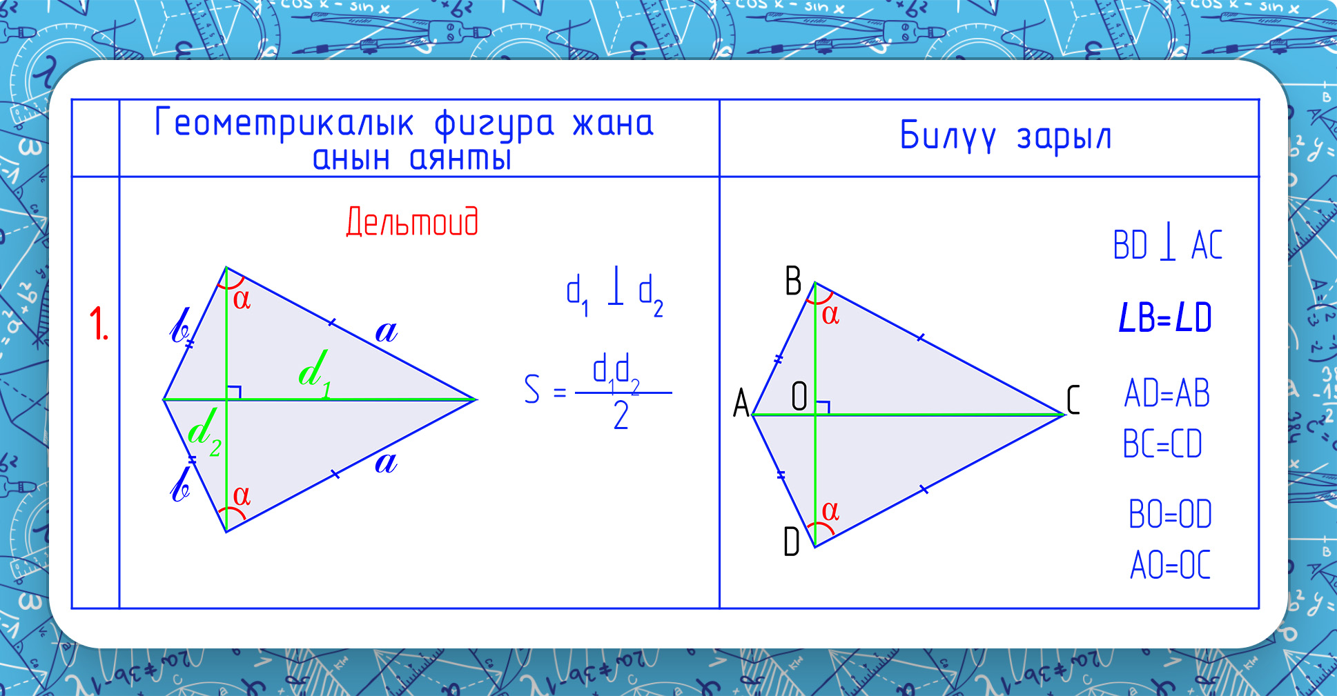 Площадь дельтоид кт.jpg