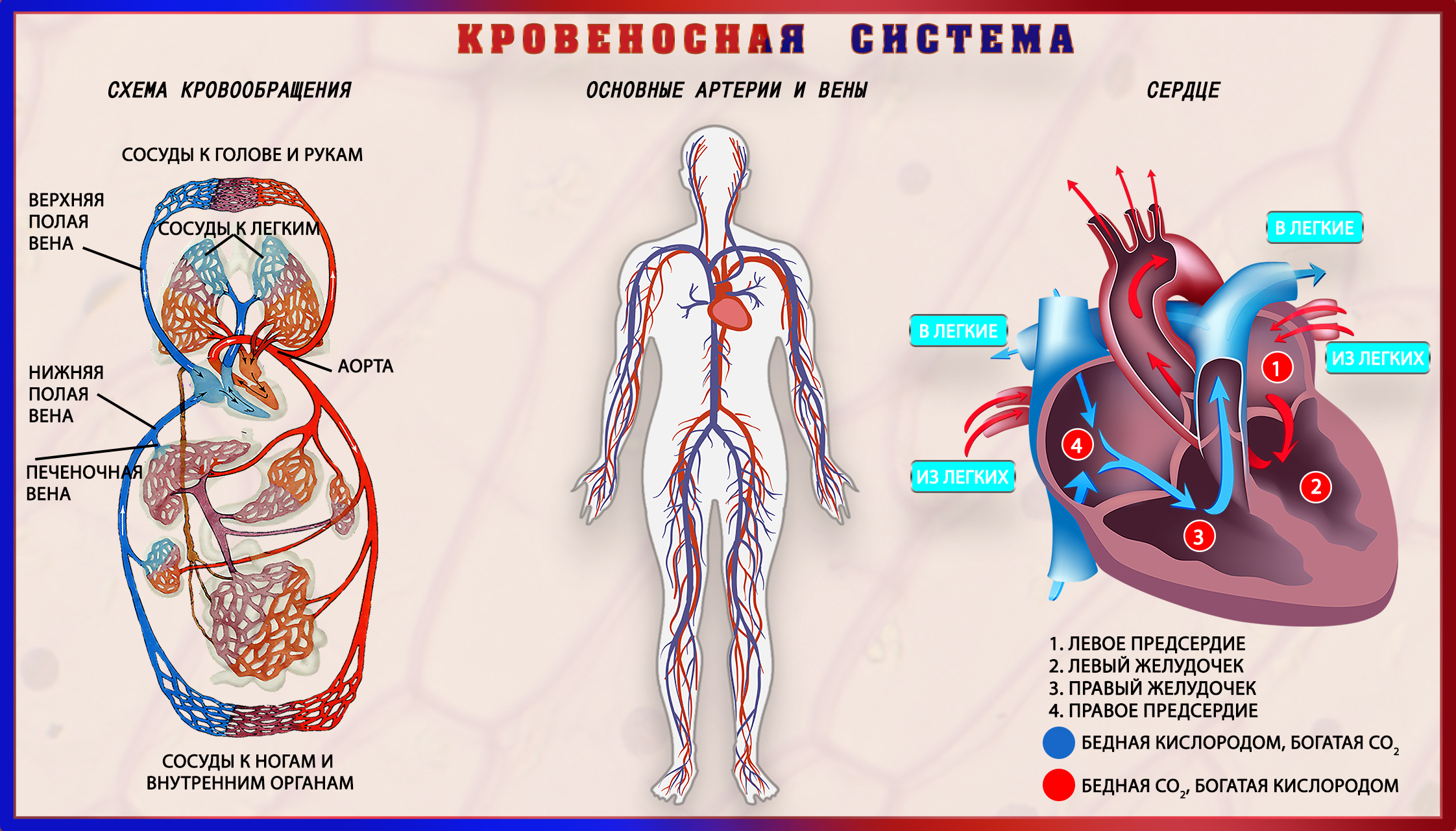  4 Egrn map ru