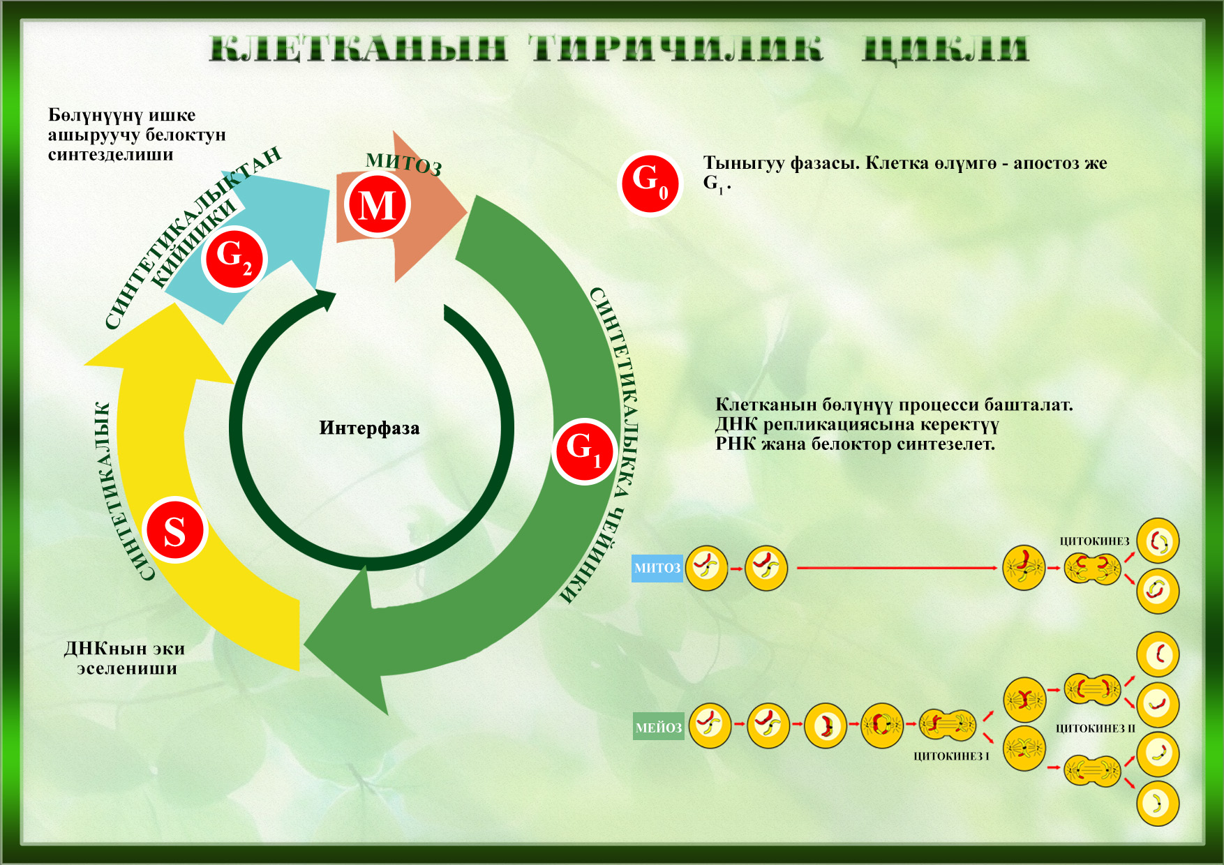 Обновления хср даты