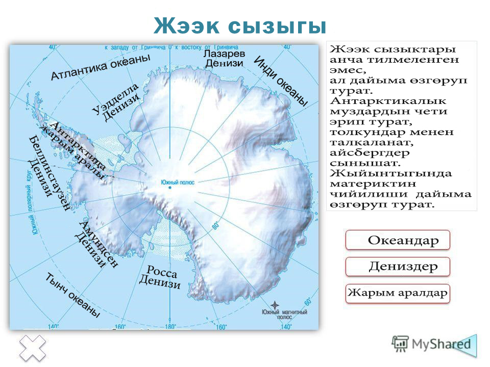 Береговая линия