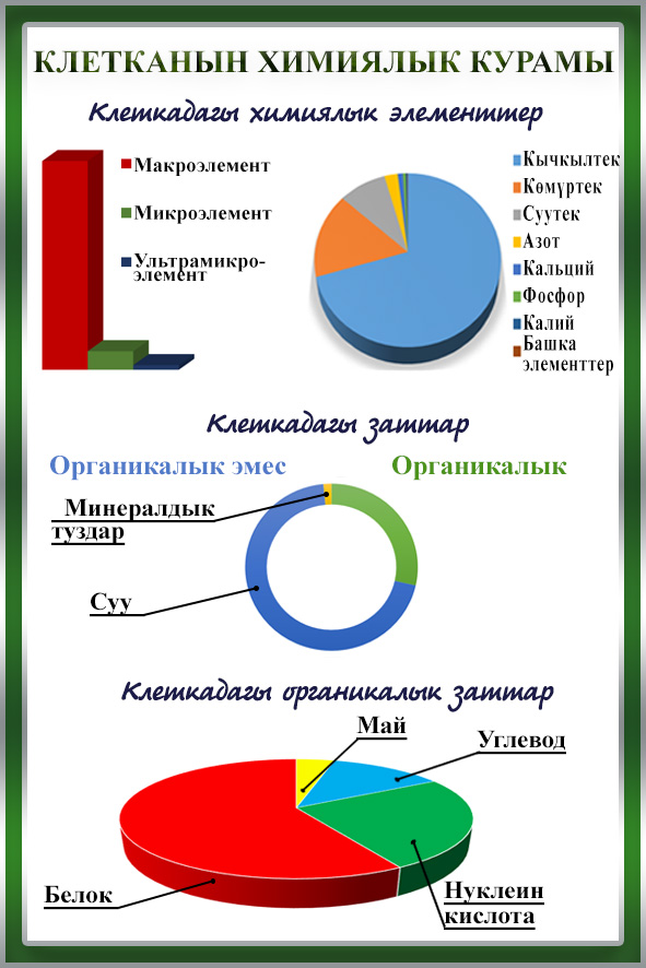 Химический состав клеточного. Состав клетки. Химический состав клетки. Химический состав клетки растений. Химический состав растительной клетки.