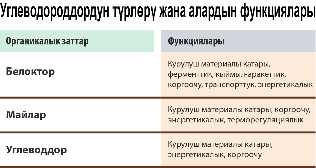 Углеводороддордун түрлɵрү жана функциялары