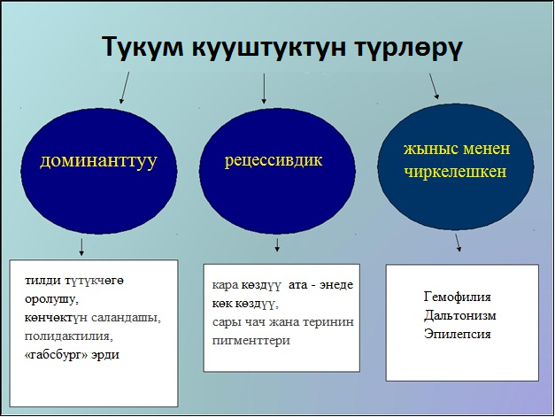 Тукум кууштуктун түрлөрү